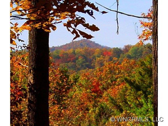 42 Dividing Ridge Tr. #6, Arden, NC 28704