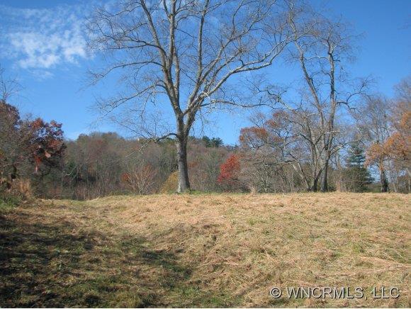 Lot 3 Happy Valley Road #3, Asheville, NC 28806