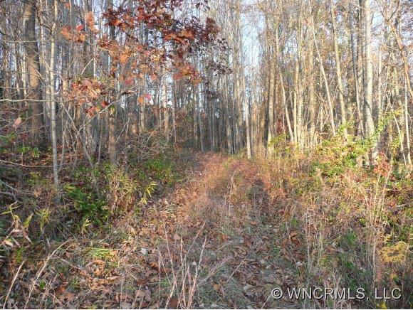 00 Sweetwater Dr., Asheville, NC 28806