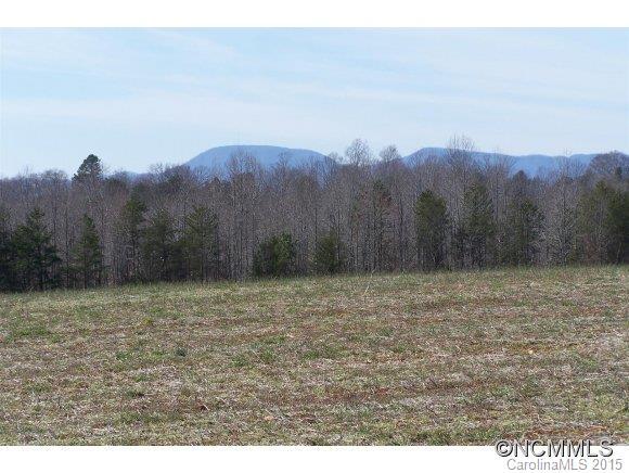 Hickory Grove Church Road, Columbus, NC 28722