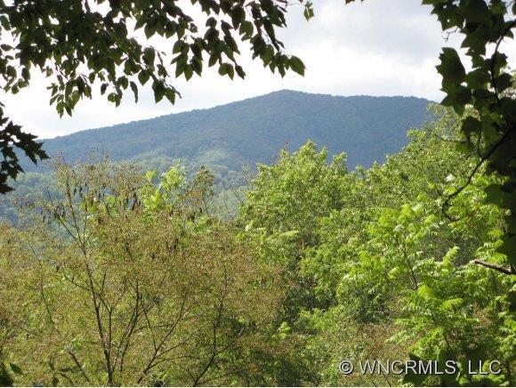 60 Single Lane, Hot Springs, NC 28743