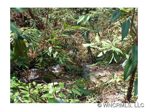 TBD Tsisqua Circle #U2L372, Brevard, NC 28712