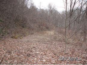 000 Lentini Drive, Waynesville, NC 28786