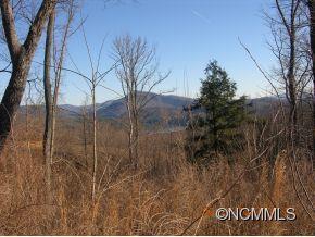 1 Bear Cliff Way, Lake Lure, NC 28746