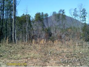 00 Painters Gap Road, Rutherfordton, NC 28139