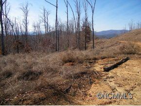 Lot 169 Wild Ridges #169, Marion, NC 28752