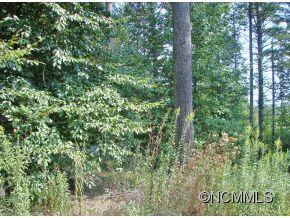 0000 Old Nc 20 Hwy, Leicester, NC 28748