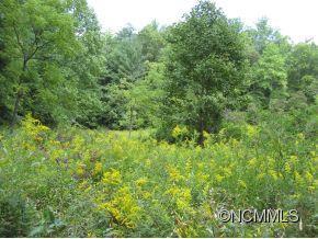 60 Single Ln., Hot Springs, NC 28743