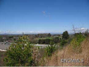 48 Climbing Aster Way #32, Leicester, NC 28748