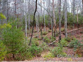 tbd Probart St. Ext., Brevard, NC 28712