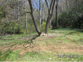 94 Camp Branch Rd. #2, Black Mountain, NC 28711