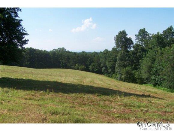 Sandy Plains Road, Tryon, NC 28782