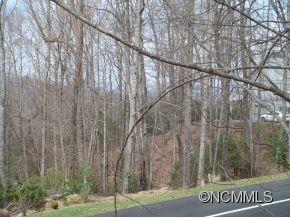 Cheestoonaya Way #U7 L61, Brevard, NC 28712