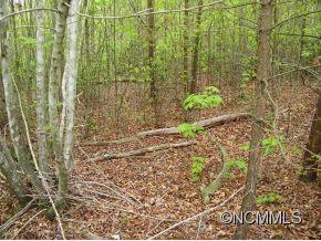 Lot 81 Wild Ridges #81, Marion, NC 28752