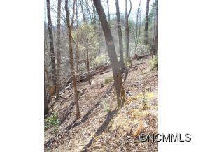 9 Lurewoods Forest Rd., Lake Lure, NC 28746