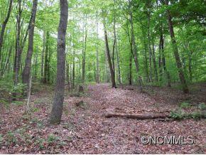 420 Elliott Road Extension, Rutherfordton, NC 28139