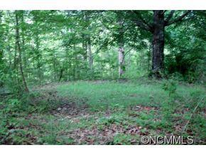 Round Hill Rd., Bryson City, NC 28713