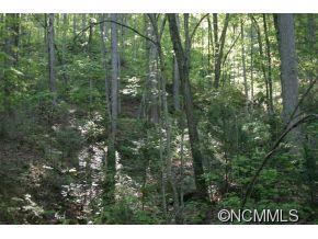 999 Stone Mountain Farm Road, Black Mountain, NC 28711