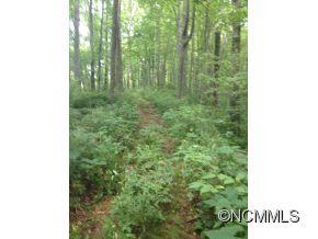 000 Dills Cove Rd., Sylva, NC 28779