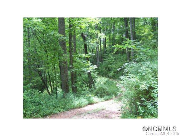 Lot 4 Reynolds Dr. #4, Canton, NC 28716