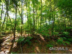 4A Running Ridge Rd, Woodfin, NC 28804