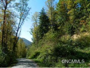 Mason Branch, Bryson City, NC 28713