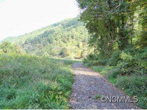 1078 North Turkey Creek Rd., Leicester, NC 28748