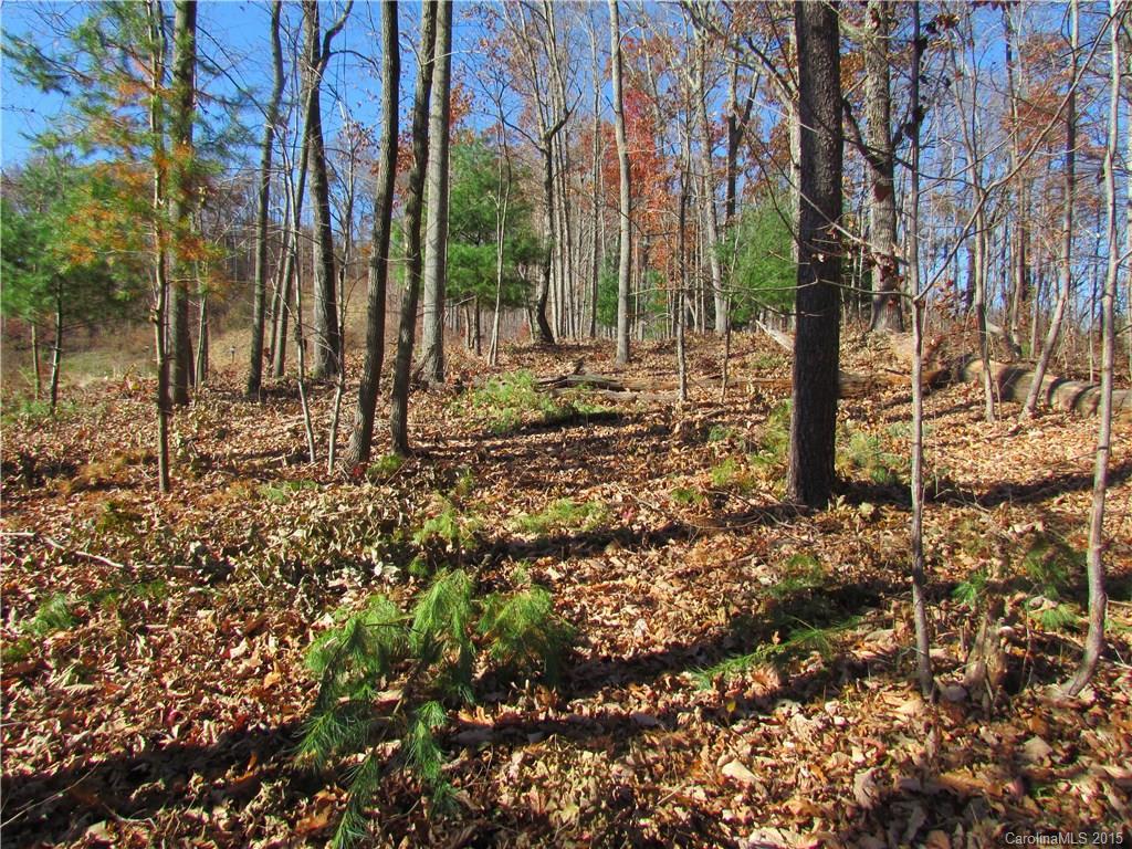 7 Samuel Ashe Dr. #46, Asheville, NC 28803