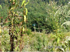 00 Little Mountain Road #20, Columbus, NC 28722