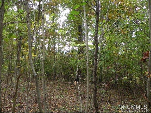 TBD Running Ridge Road, Asheville, NC 28804