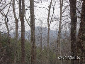Ridge Tops Of Hawks Nest, Burnsville, NC 28714