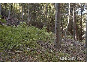 11 Coyote Hollow Rd., Waynesville, NC 28786