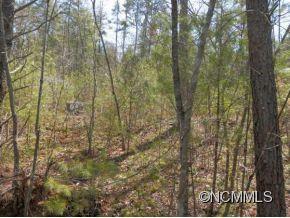 36 Country Cove Ct. #6, Leicester, NC 28748