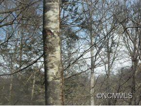 45 Wentworth Ave., Asheville, NC 28803