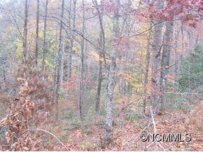185 Cagle Branch, Sylva, NC 28779