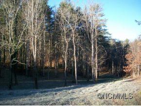 000 Palmer Ford Road, Weaverville, NC 28787