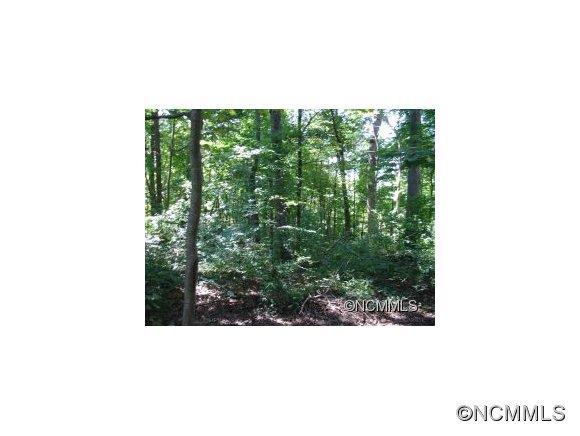 9 West Oakview Rd., Asheville, NC 28806