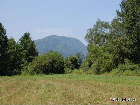 Berea Church Road, Hendersonville, NC 28739