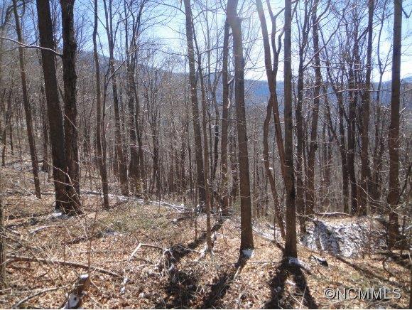 Chestnut Walk Drive, Waynesville, NC 28786