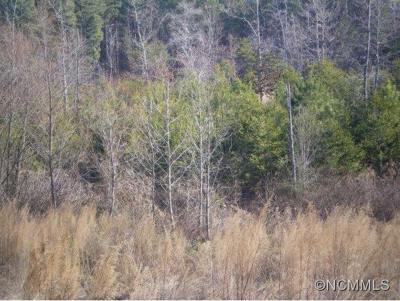 Poors Ford Rd., Rutherfordton, NC 28139