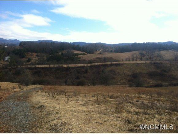 1 East Rolling Meadows Ln., Weaverville, NC 28787