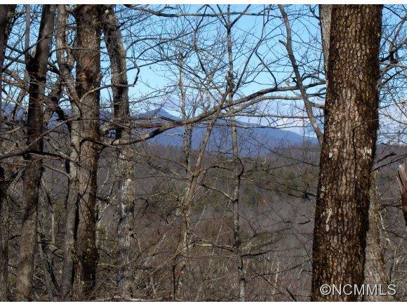 [Address Hidden by Seller], Brevard, NC 28712