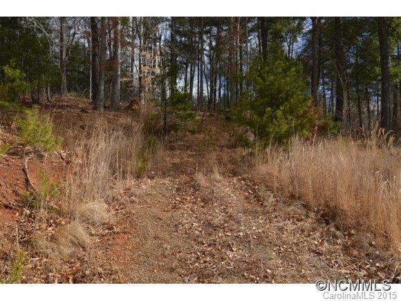 00 Higgins Branch Rd., Mars Hill, NC 28754