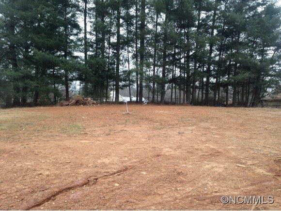 4 Cortland Way, Asheville, NC 28806