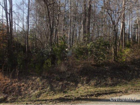 00 Morris Road, Mills River, NC 28742