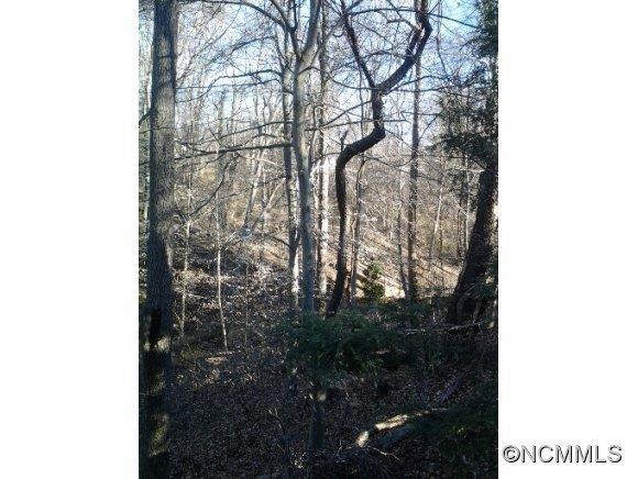 00 Fairfax Ave., Asheville, NC 28806