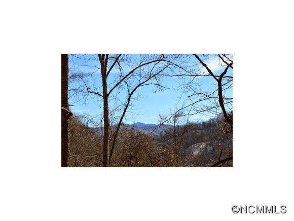 000 Coxes Creek Road, Burnsville, NC 28714