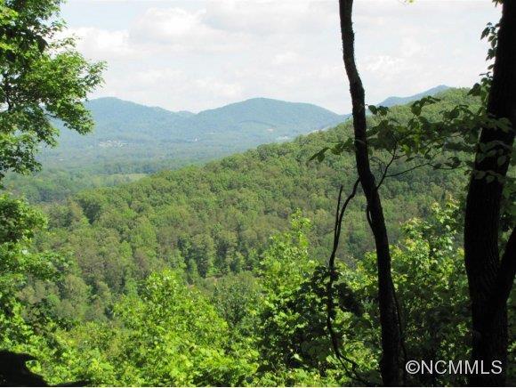 42 Brownsview Church Road, Candler, NC 28715