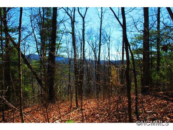 00 No Address Assigned (tbd), East Flat Rock, NC 28726