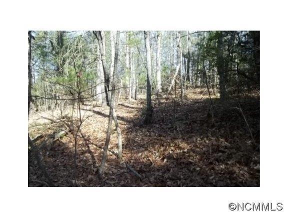 Lake Falls Road, Hendersonville, NC 28739